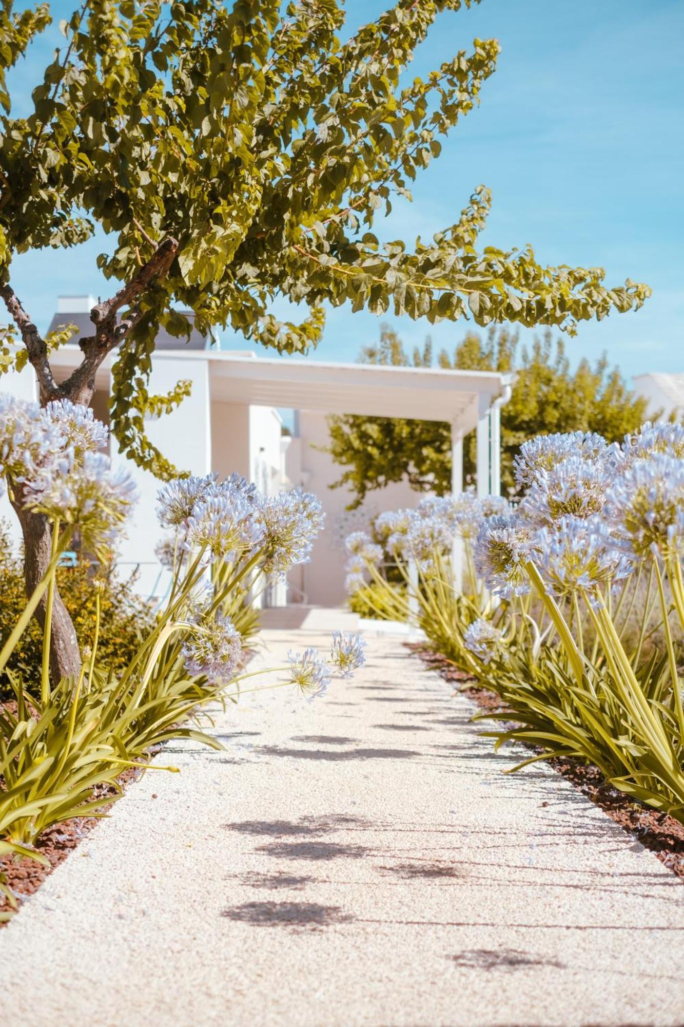 Iconica Luxury Suites Alberobello Exteriör bild